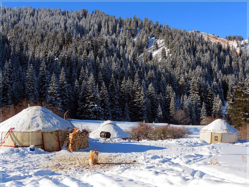 >Yurt camp for skiers