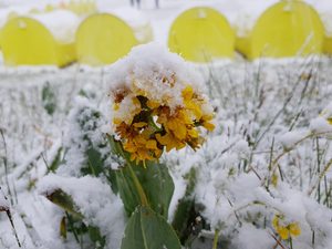 Восхождение на пик Ленина в начале лета