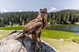 Григорьевское ущелье