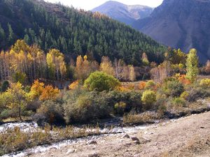 Река в ущелье Кегеты
