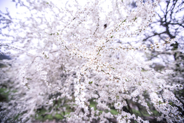 Beginning of spring in Kyrgyzstan