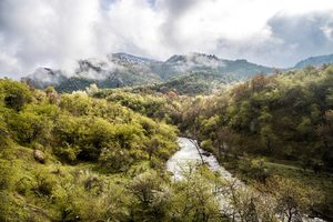 Заповедник Сары-Челек