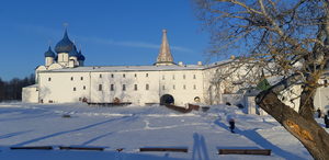 К терему лесному