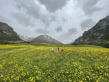 Top 16 things to do