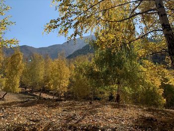 Tours and excursions in Kyrgyzstan Tours and excursions in Kyrgyzstan