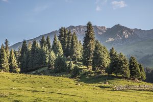 Путешествие вокруг озера Иссык-Куль