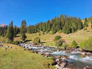 Горные ущелья Кыргызстана
