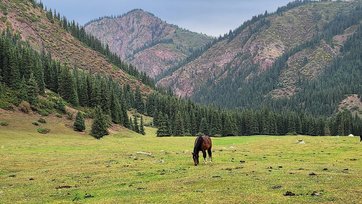 Экскурсия в ущелье Джети-Огуз