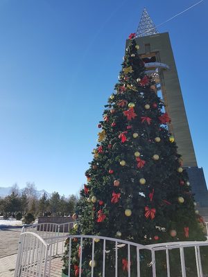 новый год в городе Бишкек