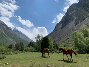 Тур в Аламединское ущелье