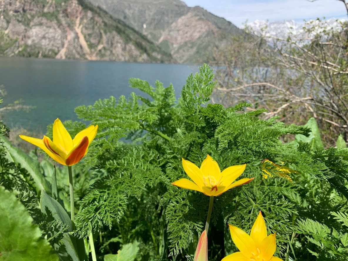 Our trip to Sary-Chekek lake