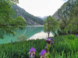 Озеро и цветы / Lake and flowers