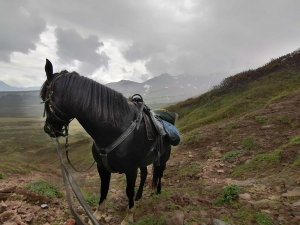 Конный тур на Камчатке / Horse riding in Kamchatka