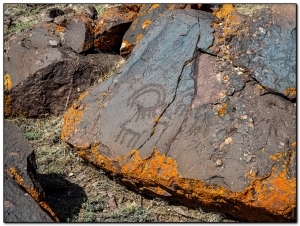 Петроглифы с изображением горных козлов / Petroglyphs depicting mountain goats