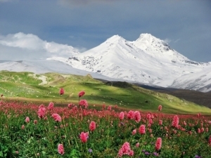 Вид на гору Эльбрус / View of Mount Elbrus