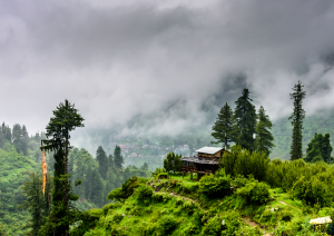 Путешествие в Гималаи / Journey to the Himalayas