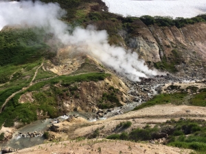 Дачные термальные источники (Мини Долина Гейзеров) / Dachnye thermal springs (Mini Valley of Geysers)