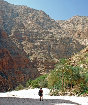 A Wadi Walk