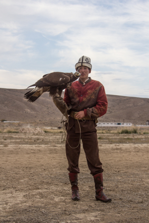 Соколиная охота / Falcon hunting