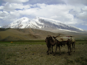 Вид на гору Музтаг-Ата / View to Muztagh-Ata mountain