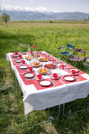 Пикник на свежем воздухе / Outdoor picnic