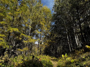 В ущелье Ак-Тюз / In the Ak-Tyuz gorge