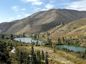 Озеро в конце тропы из рощи / Lake at the end of the path from the grove