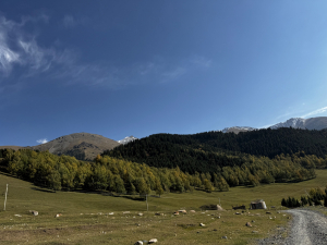 В ущелье Ак-Тюз / In the Ak-Tyuz gorge