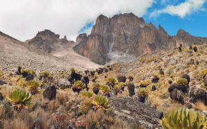 Восхождение на гору Кения / Ascent to Mount Kenya