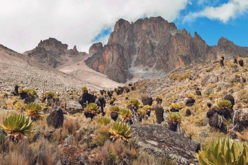 Восхождение на гору Кения / Ascent to Mount Kenya