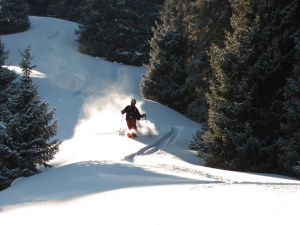 фото: Н.Н. Гутник. Лыжный тур в Ирдыке / photo: N.N. Gutnik.Skiing in Irdyk